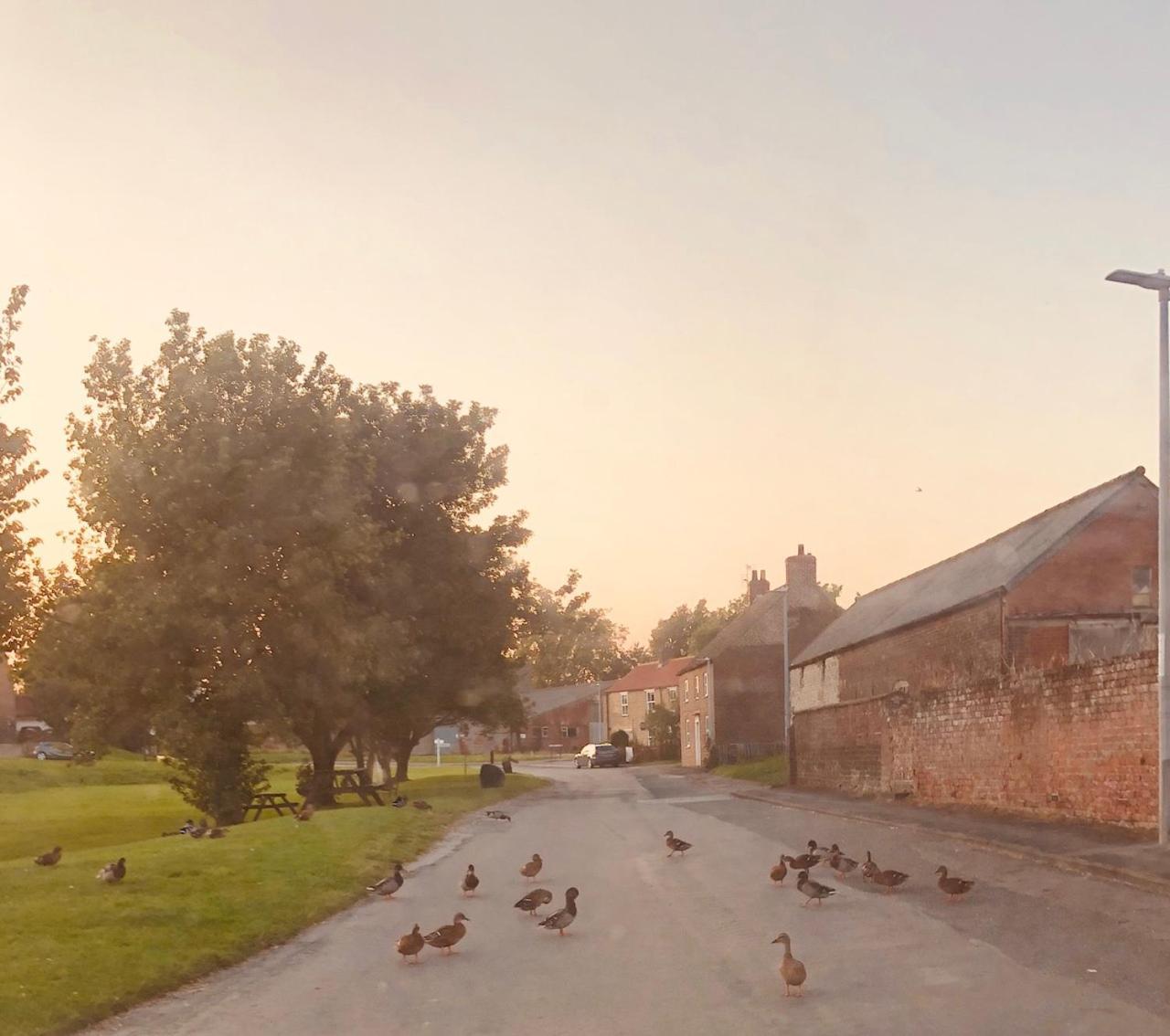 Village Barn Conversion Near York Exterior photo